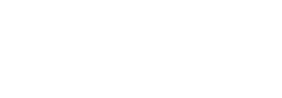 EveryStory Logo